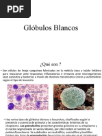 Glóbulos Blancos