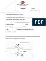 Answer The Following Questions:: Class: I Worksheet 4 Name: Subject: EVS Chapter 3: Parts of A Plant