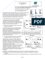 De Jeunes Filles Deviennent Des Hommes !: Gène Sry Fragment d'ADN de Contrôle Fragment d'ADN Spécifique Du Chromosome Y