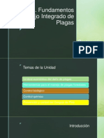 Unidad Iii. Fundamentos Del Manejo Integrado de Plagas - Gorgojo de Pino