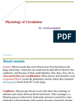 Physiology of Circulation