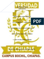 Universidad de Chiapas