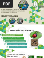 Introducción A Los Invertebrados PDF