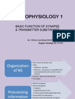 Neurophysiology 1: Basic Function of Synapse & Transmitter Substances