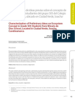 Caracterizacion de Ideas Previas Sobre El Concepto