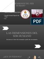 Dimensiones Del Ser Humano