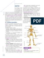 Aparato Locomotor