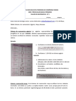 Taller de Matematica 5, 6, 7 PDF