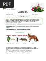 3° Básico Ciencias Naturales Guía 1 Plantas de Mi Jardín PDF