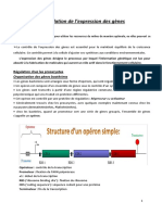 Cours 7 Régulation de L'expression Des Gènes