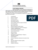 Procedimientos Trabajo Seguro PDF