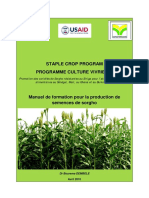 Guidepourlaproductiondesemencesdesorgho EAA190510