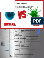 Respuesta Inmune Virus y Bacterias