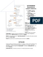 bioquimica-CETOGENESIS Y CETOLISIS