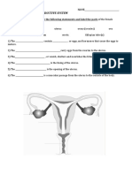 Human Reproduction Homework Sheet PDF