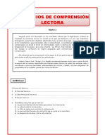 Comprensión de Lectura