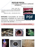 Biofilmes 2018 Noturno