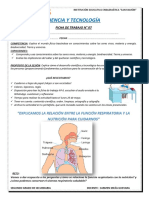 Ficha de Trabajo 7