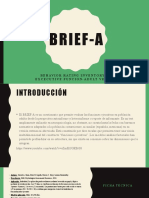 Brief A