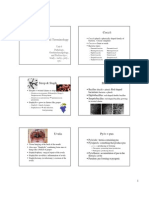 Medical Terminology