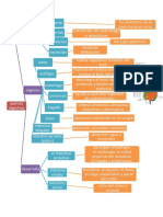Mapa Conceptual Sistema Digestivo