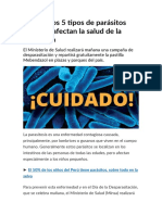 Conoce Los 5 Tipos de Parásitos Que Más Afectan La Salud de La Población