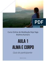 Curso de Raja Yoga - Brahma Kumaris - Aula 1