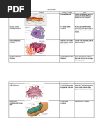 Cell Organelles Organelle Diagram Where It's Found Role Cell Surface Membrane