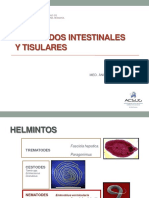 6 Nemátodos Intestinales y Tisulares