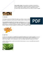 15 Plantas Medicinales