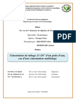 Thése DRIS PDF