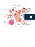 Biologia - Volume 01 - Das Células 13 - Tecido Conjuntivo