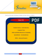 RS VII 6 ComputerStudies