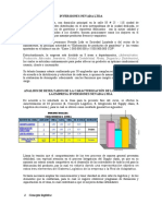 Analisis - Inversiones Nevada Ltda.