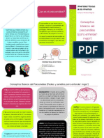 Triptico Psicologia Profunda PDF