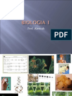 Biologia PPT - Aula 01 Origem Da Vida