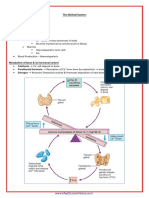 A&P - 2a. Skeletal System Condensed (13p) PDF