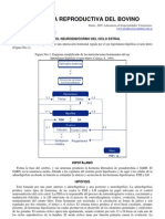 71-Fisiologia Reproductiva Del Bovino