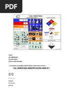 Hmis Iii Calhidratada PDF