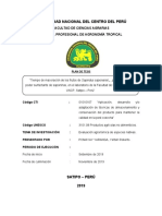 Tiempo de Maceración de Los Frutos de Sapindus Saponaria para Evaluar El Poder Surfactante de Saponinas, en El Laboratorio de La Fca Uncp