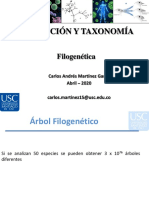 5.1 Filogenia 2