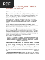 Instituciones Que Protegen Los Derechos Humanos en Colombia