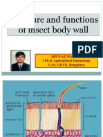 Structure and Functions of Insect Body Wall: Arun Kumar K M I Ph.D. Agricultural Entomology UAS, GKVK, Bengaluru