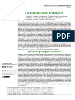 Advances in Pineapple Plant Propagation: Avanços Na Propagação de Abacaxi