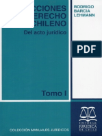 LECCIONES DE DERECHO CIVIL CHILENO TOMO I DEL ACTO JURIDICO - Barcia Lehmann, Rodrigo PDF