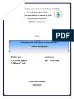 SIG Gestion Des Risques PDF