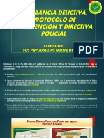 Flagrancia Delictiva, Protocolo y Directiva