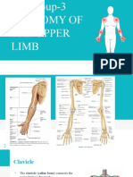 Upper Extremities Ortho SG3