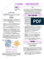 Metabolismo Del Grupo Hemo PDF