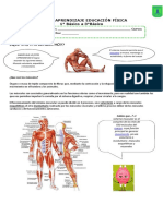 GUÍA DE APRENDIZAJE 1°a 3° 